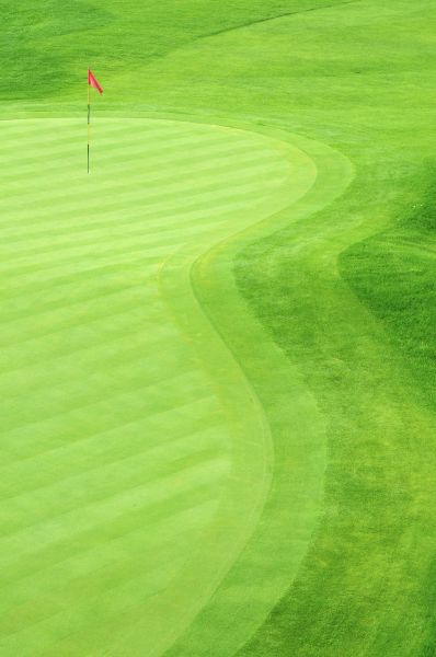 Golf Course Turf Repair