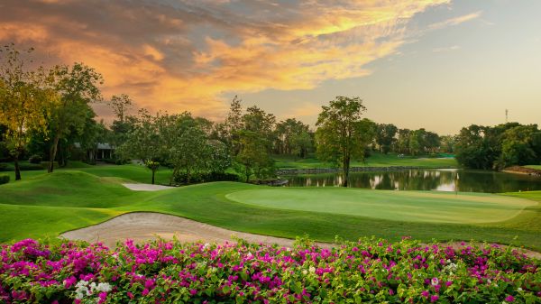 Golf Green Restoration